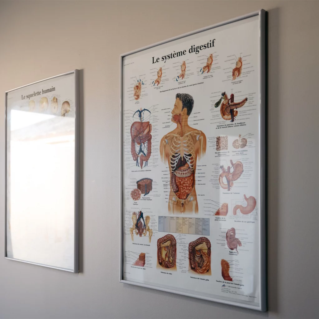 Ostéopathe grossesse Périgueux & Brantôme – Douleurs & post-partum | Camille Pouxviel